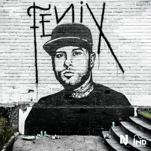 Nicky Jam - Fenix en CD físico